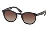 Coleman CLA12-1 Black Sunglasses Free