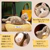 Homehalo Realistic Plush Cat Stuffed Animal, Super Cute, Fluffy Cat Body Pillow with Belly Weighted Beads, Soothing Body Pillow, Funny Gift,
