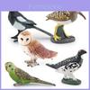 Realistic Bird Models Pvc Garden Decor Collection With Magpie Parrots And Owl Animal Figurines For Landscaping And Home Decoration