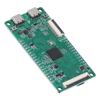 Development Board Embedded System DIY Test Module with Camera Audio Interface F1C200S
