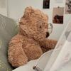 Cartoon 28-40cm Adorable Brown Bear Plush Toy Dolls Large Kawaii Children Stuffed Soft Brown Bear Dolls for Childeren Birthday Gifts