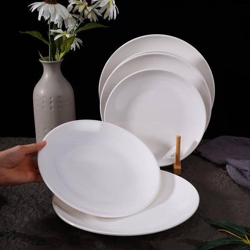 Huei Huang A5 Food Grade Melamine 9-inch Round Plate Set (10 Pcs)