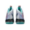 New Nike LeBron X Re Entry 541100-008