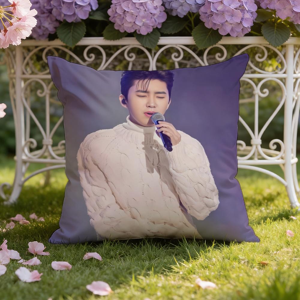 L-Lim Young W-Woong Cushion Cover Home & Car Dual-Scene Pillow Cover: Reversible for Premium Comfort