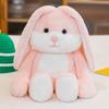 Internet celebrity peek-a-boo series doll hand magnet animal coax baby plush toy home ornament