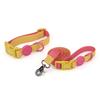 Set Collar Leashes Dog Cat Pet Collars For Puppy Small Medium Dogs Leash Rope