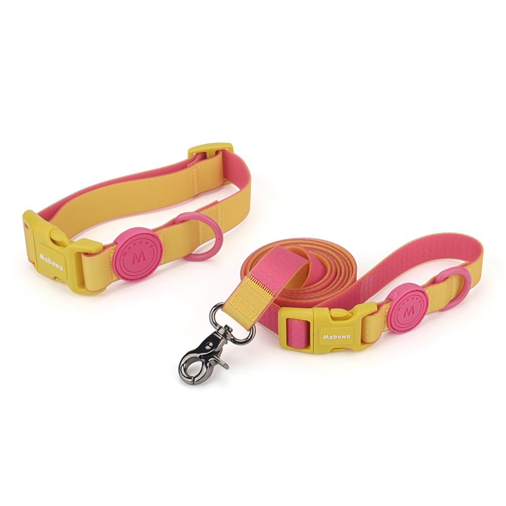 Set Collar Leashes Dog Cat Pet Collars For Puppy Small Medium Dogs Leash Rope