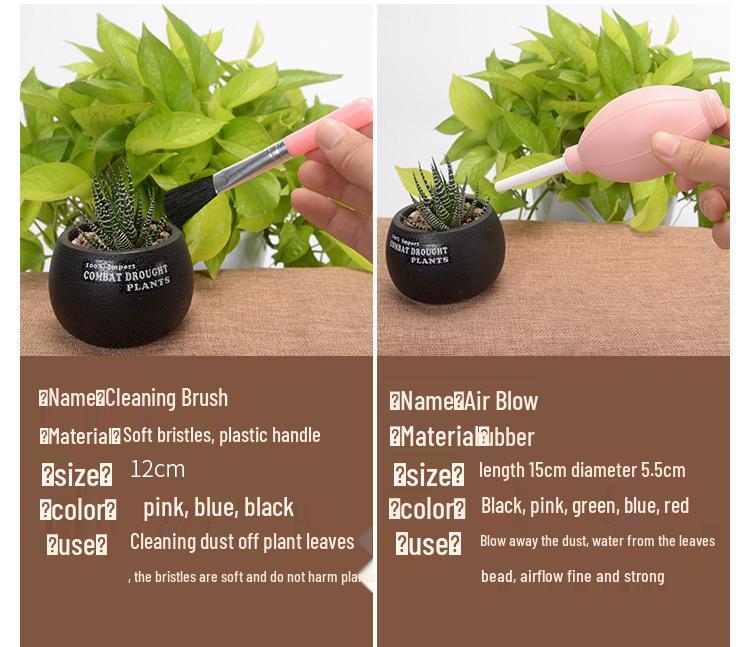 Succulent Planting Tool Set: Gardening Supplies & Bonsai Tools with Watering Can