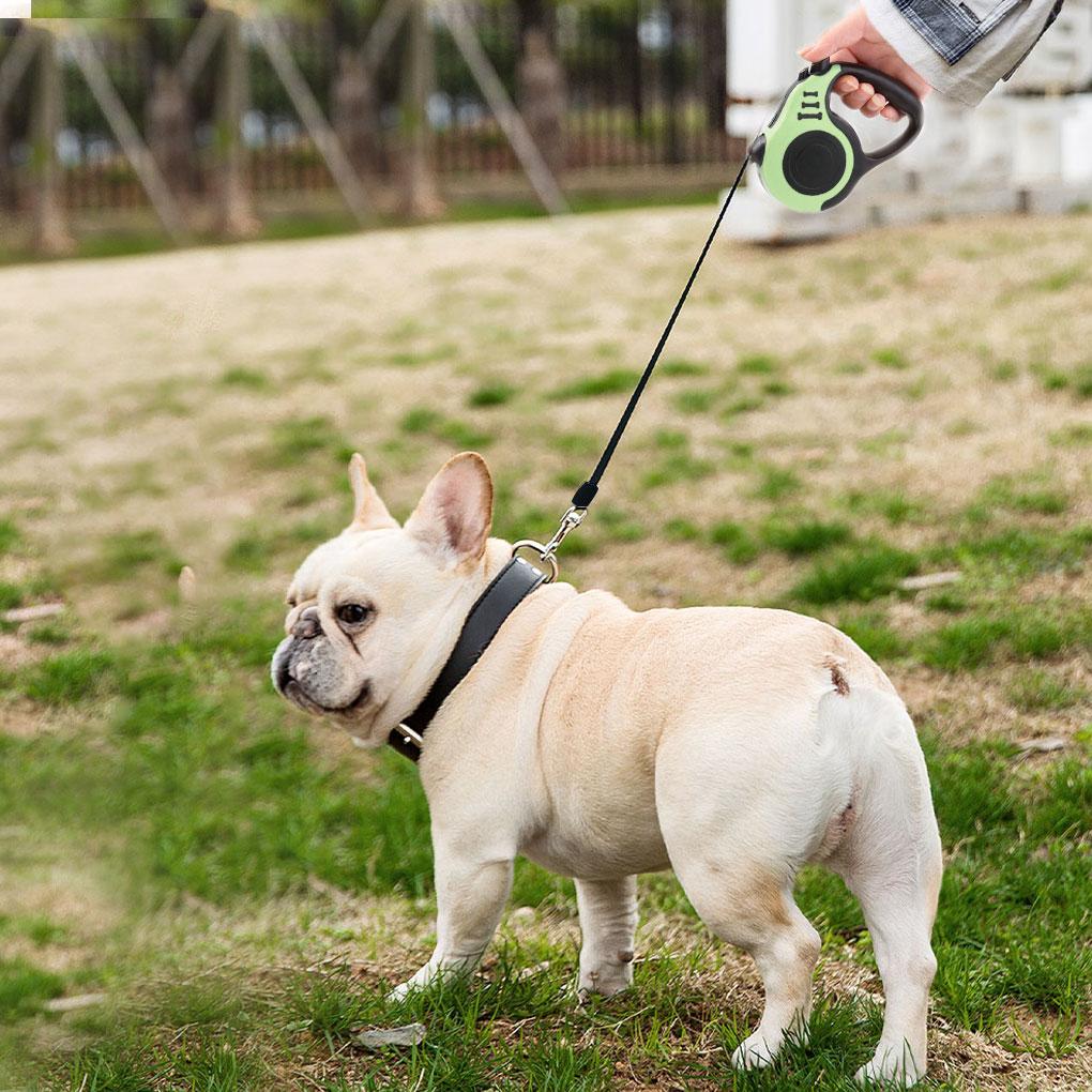 Pet Walking Leash Retractable Pet Traction Nylon Rope