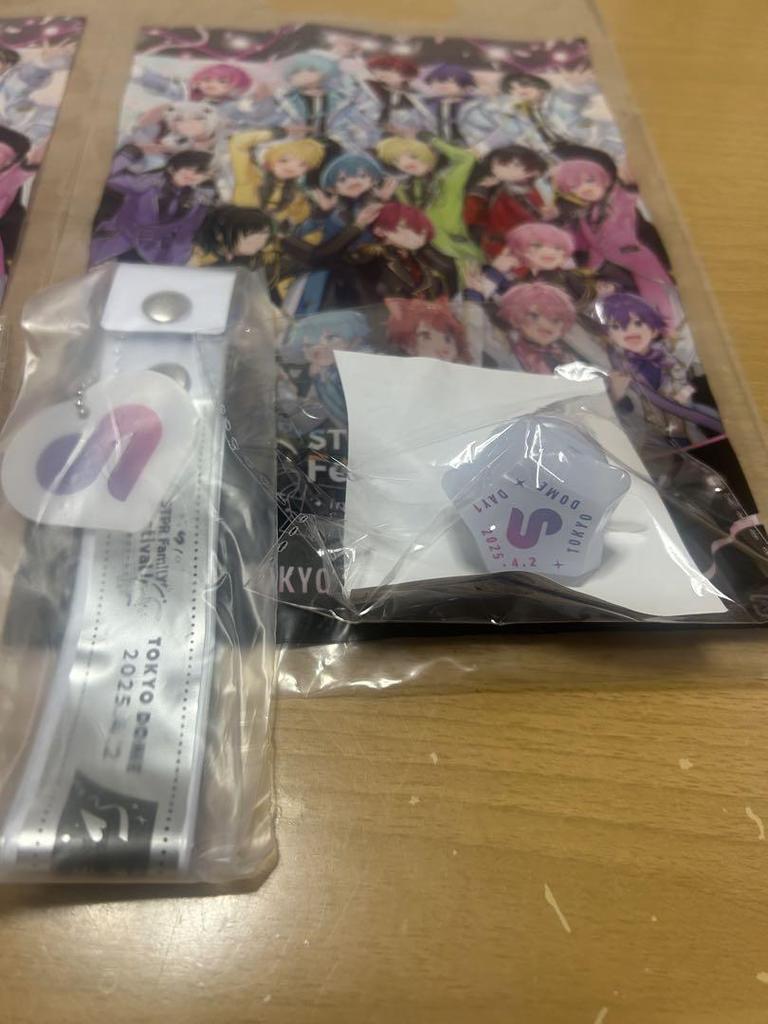 [USED] Stofest Tokyo Dome 2-day ticket premium goods bonus