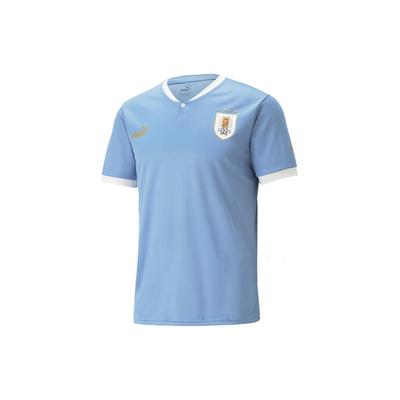 Maglia da Calcio Manica Corta Scollo a V Stampa Logo Casa Versione Tifoso Nazionale Uruguay 2022 Coppa del Mondo Qatar Uomo top Blu 770284-01