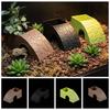 Reptile – Terarii pentru reptile