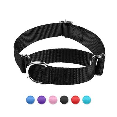 Collier et laisse pour animaux de compagnie en nylon réglable - Résistant aux chocs pour chats et chiens