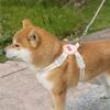 Breathable Dog Chest Strap Adjustable Cat Harness Sturdy Pet Walking Vest Outdoor Walking