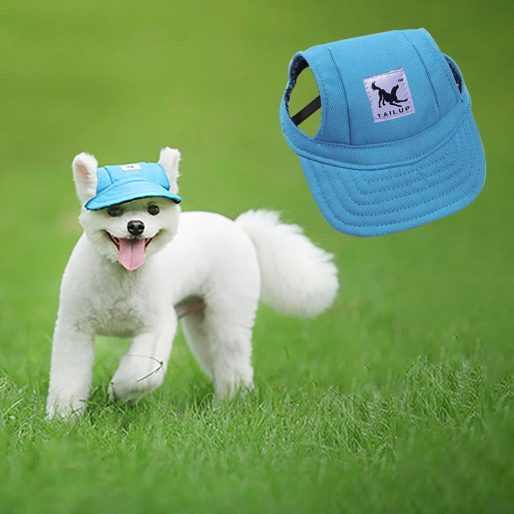 small dog visor