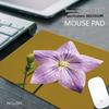 l037 cloth mouse pad 3-pack, 4mm