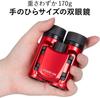 Kenko Binoculars for Concerts 10x21DH Roof Prism Type 10x 21mm Aperture Ultra Lightweight Compact Red 021392 Classi-air Multi-Coated