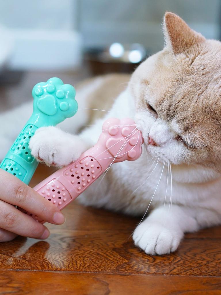 1pcTeething Toothbrush Toy for Cats Massaging - Pet Dental Bite Kitten Toy with Catnip Rubber Teeth Care Cleaning Cat Foot Shape