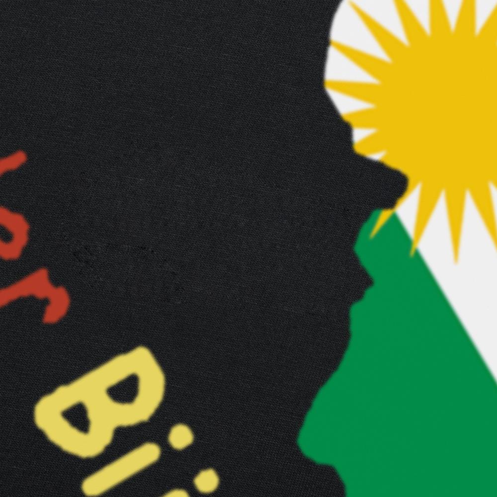 Funny Kurdistan Kurdish Graphic T Shirts Men Women Pure Cotton Funny Humor Streetwear Tee Shirt Short Sleeve Unisex Clothing