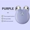 Microcurrent Facial Firming & Rejuvenation Roller Device