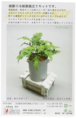 Watako Papercraft Scale Table Garden Flowers and Adiantum 1/12 Kit, Grass, G-33