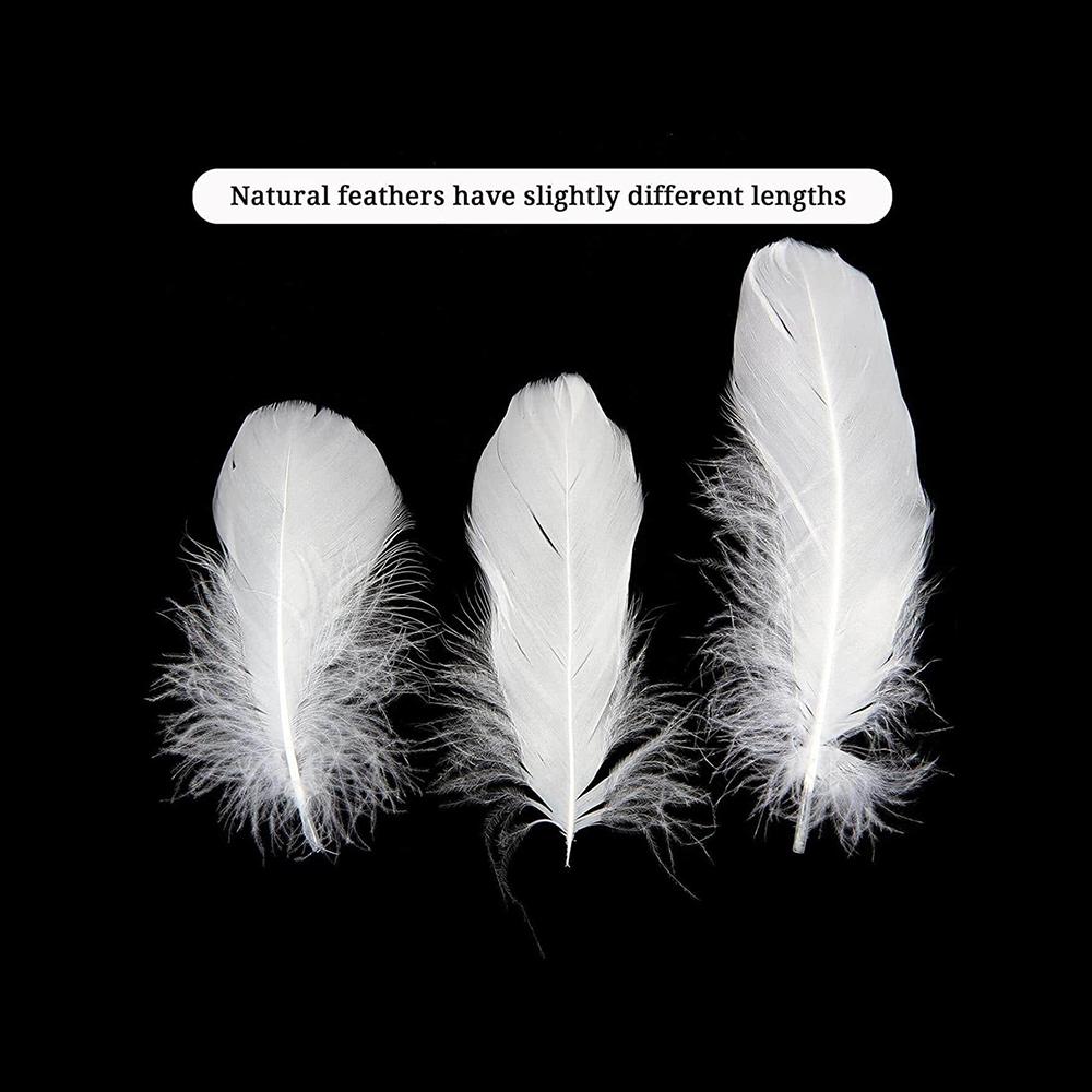 100Pcs White Feather Goose Feathers for Crafts DIY Wedding Party Halloween Decoration Goose Nagoire Feathers