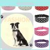 Expandable Pet Collar Chain With Gorgeous Rhinestone Design Various Colors Available