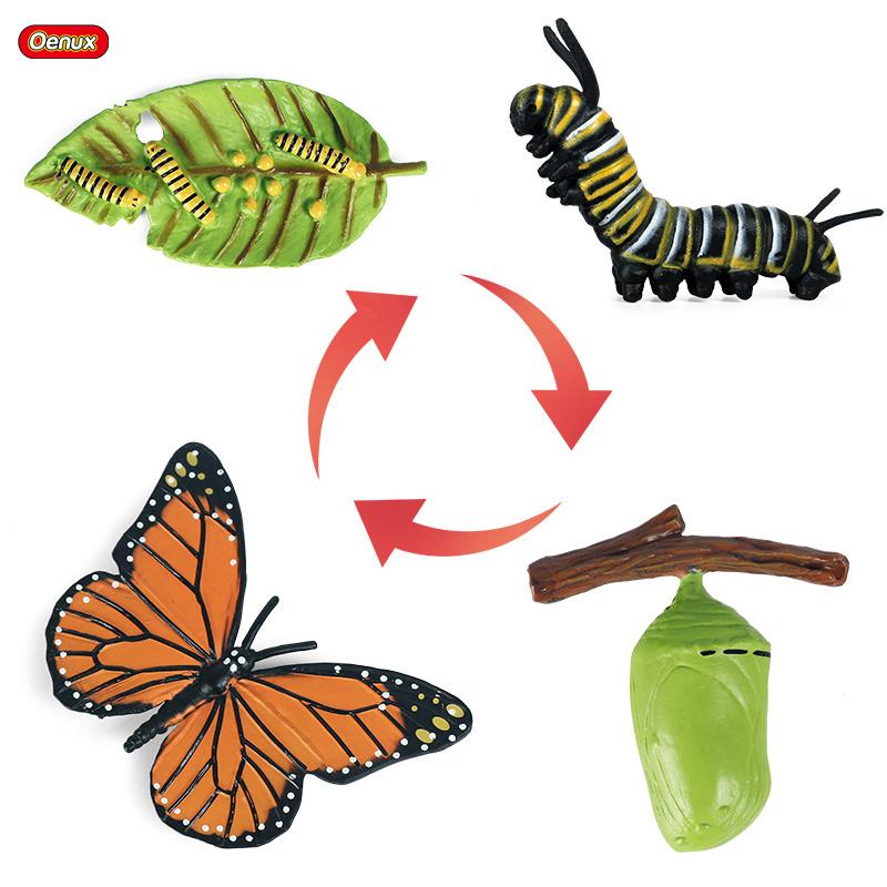 Oenux Simulation Luna Moth Salmon Butterfly Ants Life Growth Cycle Animals Model Action Figures Educational Miniature Kids Toy