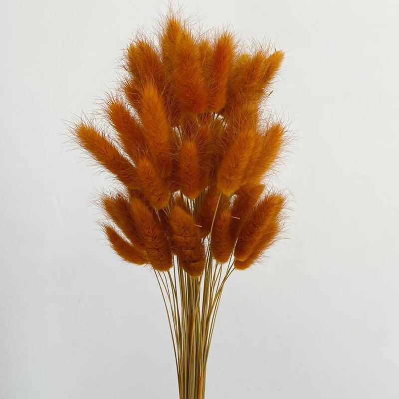 60 Stück Natur Hasenschwanzgras Trockenblumenstrauß Hochzeitsfeier Deko Flauschiges Pampasgras Weihnachten DIY Blumengesteck