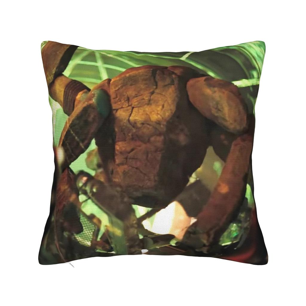 Project Hail Mary Square Pillow Cases Ryland Grace Rockys Cushion Cover Custom Polyester Decorative Pillowcover for Car 40*40cm