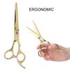 Beard Scissors Stainless Steel Home Barber Shop Portable Hair Cutting Scissors for Men Women GoldFlat Scissors