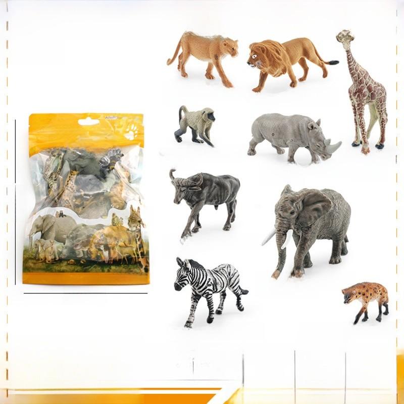 Prehistoric Mammal Skull Model With Pvc Material For Educational Museum Display And Collectors