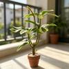 Mini Terracotta Pot Artificial Potted Plant Model Dollhouse Garden Scene Decor Dollhouse Micro Landscape Ornaments Photo Props