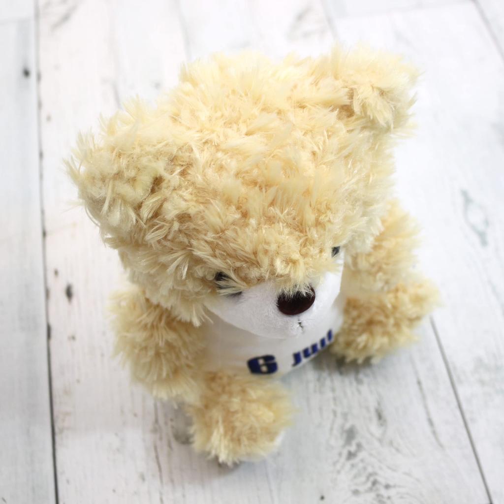 Takeoff Plush Toy BEAR'S365 June Beige