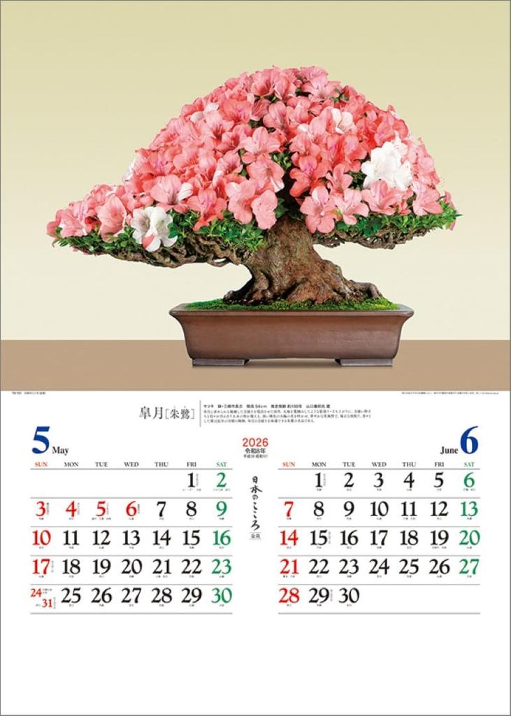 Japanese Spirit 2026 Wall Calendar (Bonsai) TD-721 CL26-1039