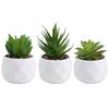 Artificial Succulents Decorative Flower Pot Easy Maintenance
