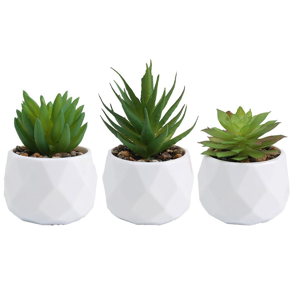 Artificial Succulents Decorative Flower Pot Easy Maintenance
