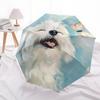 1pc Dogs Butterfly Automatic Open/Close Umbrella Compact Folding Umbrella, All-Season Portable Umbrella for Women/Men, Perfect Gift for Birthdays013