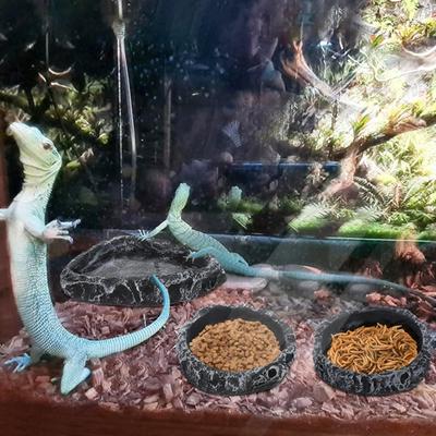 Reptile Feeding Dish Realistic Stone-Like Reptile Water Dish Food Bowl Terrarium Reptile Feeding Corner Bowl for Bearded Dragons Lizard Frog Gecko