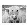 Black and White Highland Cow Cattle Canvas Painting Nordic Posters and Prints Wall Art Pictures for Living Room Home Decoration No Frame