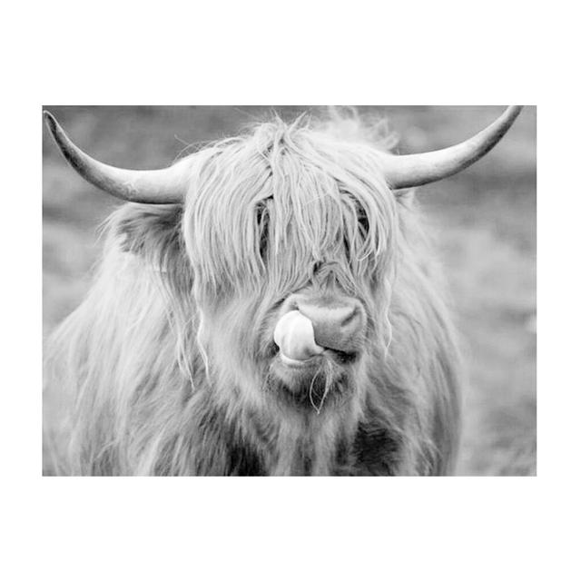 Black and White Highland Cow Cattle Canvas Painting Nordic Posters and Prints Wall Art Pictures for Living Room Home Decoration No Frame