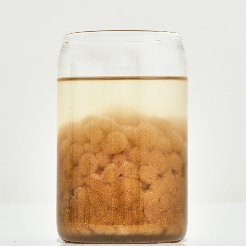 INNERLAB Psyllium Seed Husk Garcinia Slimming Pills 20 Packs