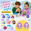 Surprise Toy Random Box for Kids Party Favors
