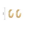 Elegant Zircon Circle S925 Silver Needle Earrings - Trendy, Fashionable, and Sophisticated Ear Cuffs for a Luxurious Feel