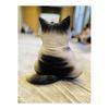 Homehalo Cat Hugging Pillow, Soft Memory Foam Cushion, Cover Washable, Sleeping Pillow, Soothing Hugging Pillow, Cute, Comfortable Hugging Pillow,