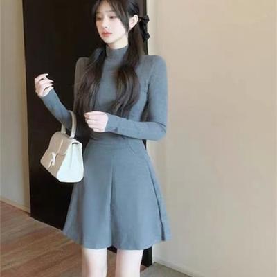 Herbst Winter Stehkragen Einfarbig Elegant Mode Taille Mini Kleid Damen Langarm Alleskönner Unterkleid Vestidos