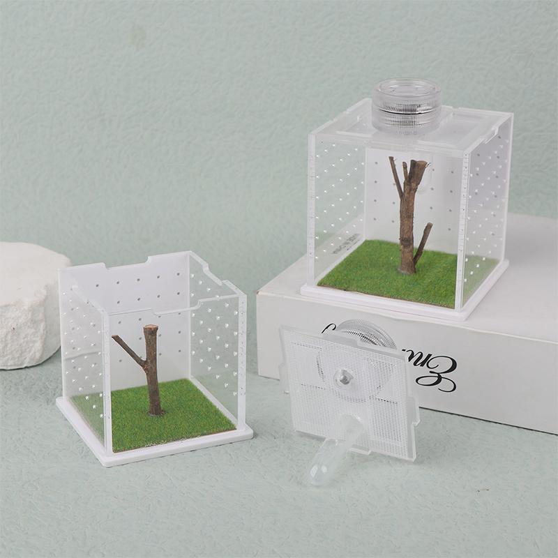 Springspinne Terrarium - Acryl Reptilien Zuchtbox Springspinne Box Mit Licht Luftbefeuchter Futterbehälter Zubehör