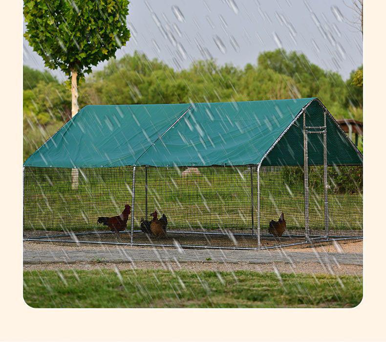 Extra Large Outdoor Rainproof Poultry Coop for Chickens, Pigeons & Peacocks