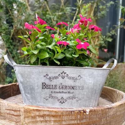 Vaso Pianta Contenitore Piante Secchio Secchiello Metallico Vasi Fiori Fioriere Rialzate Scatole da Giardino Secchio da Giardino per Fattoria Fioriera da Giardino