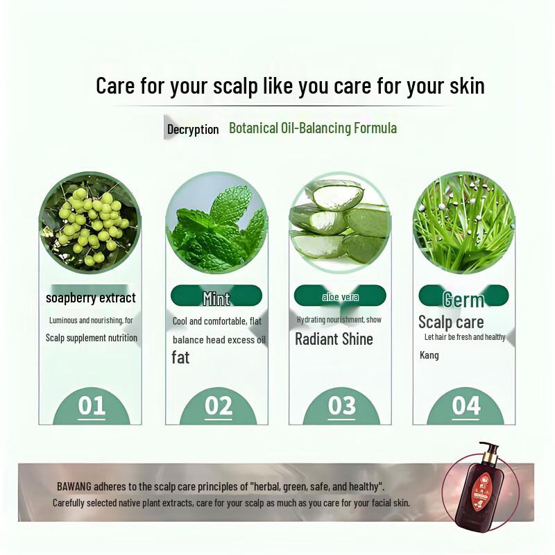 Bawang Sapindus Balancing Oil Control Shampoo